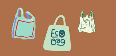 🛍️ Plastic Bag Alternatives